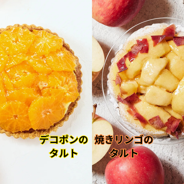 お得な2種のタルトセット【デコポンのタルト&焼きリンゴのタルト】